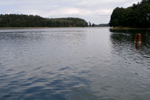 Jezioro Wdzydze koło Borska